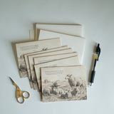 He Shall Gently Lead Note Card Set