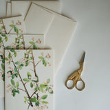 Spring Blossoms Note Card Set