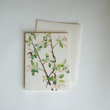 Spring Blossoms Note Card Set