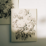 Vintage Black & White Floral Note Card Set | Butterfly