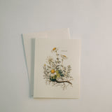 Chamomile Note Card Set