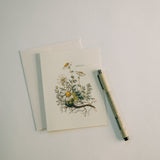 Chamomile Note Card Set