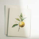Orange Branch Note Card Set