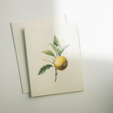 Orange Branch Note Card Set