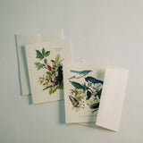 Vintage Birds Thank You Card Set