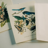Vintage Birds Thank You Card Set