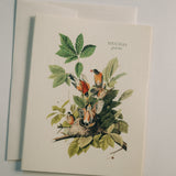 Vintage Birds Thank You Card Set