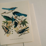 Vintage Birds Thank You Card Set