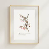 Behold the Birds Art Print