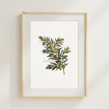 Nothing Apart From Christ Art Print