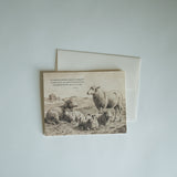He Shall Gently Lead Note Card Set