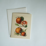 Oranges Note Card Set