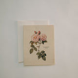 Friendship Note Card Pack