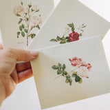 Vintage Roses Note Card Pack