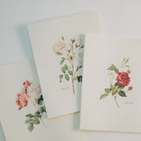 Vintage Roses Note Card Pack