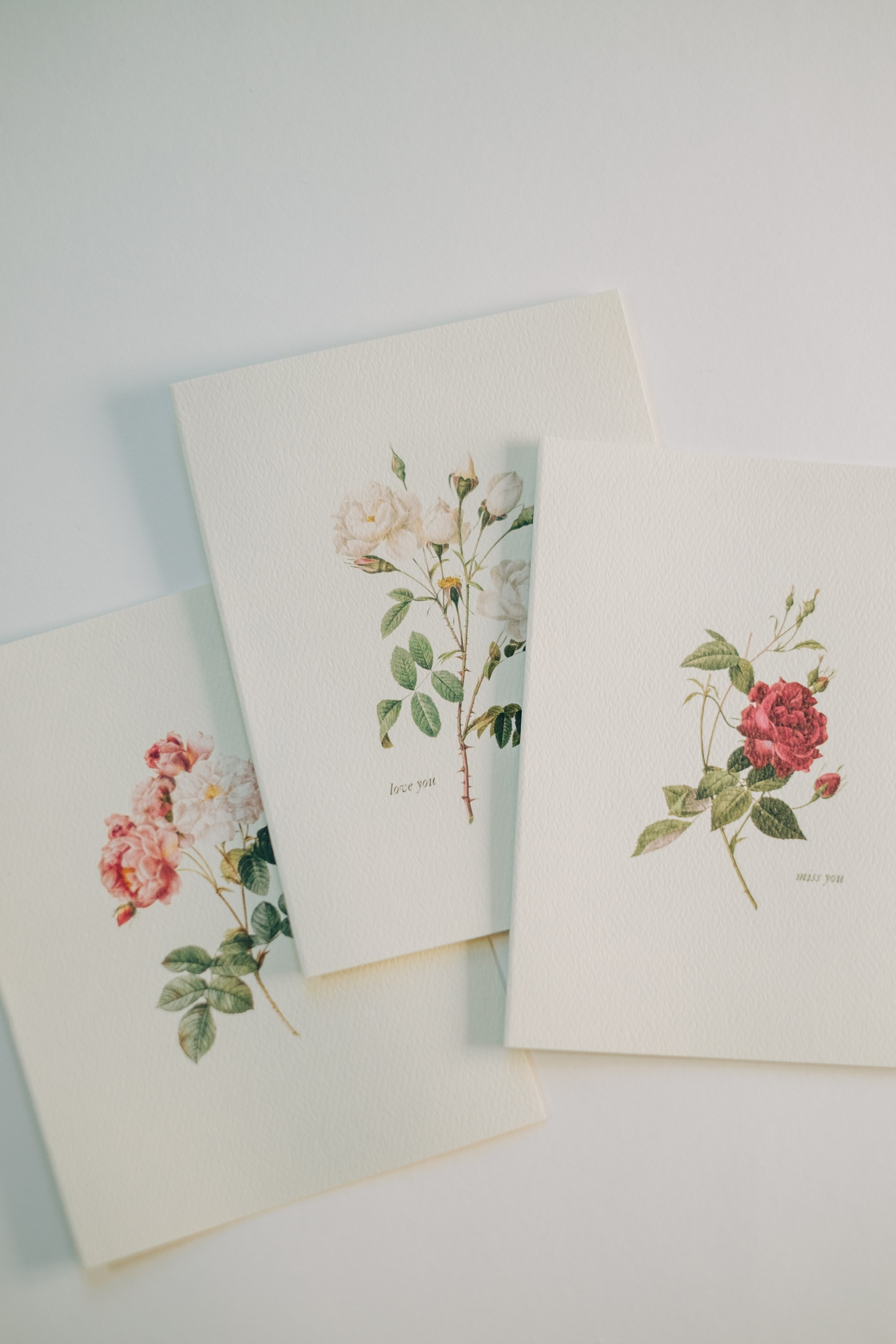 Roses Note Card Set – These Stones