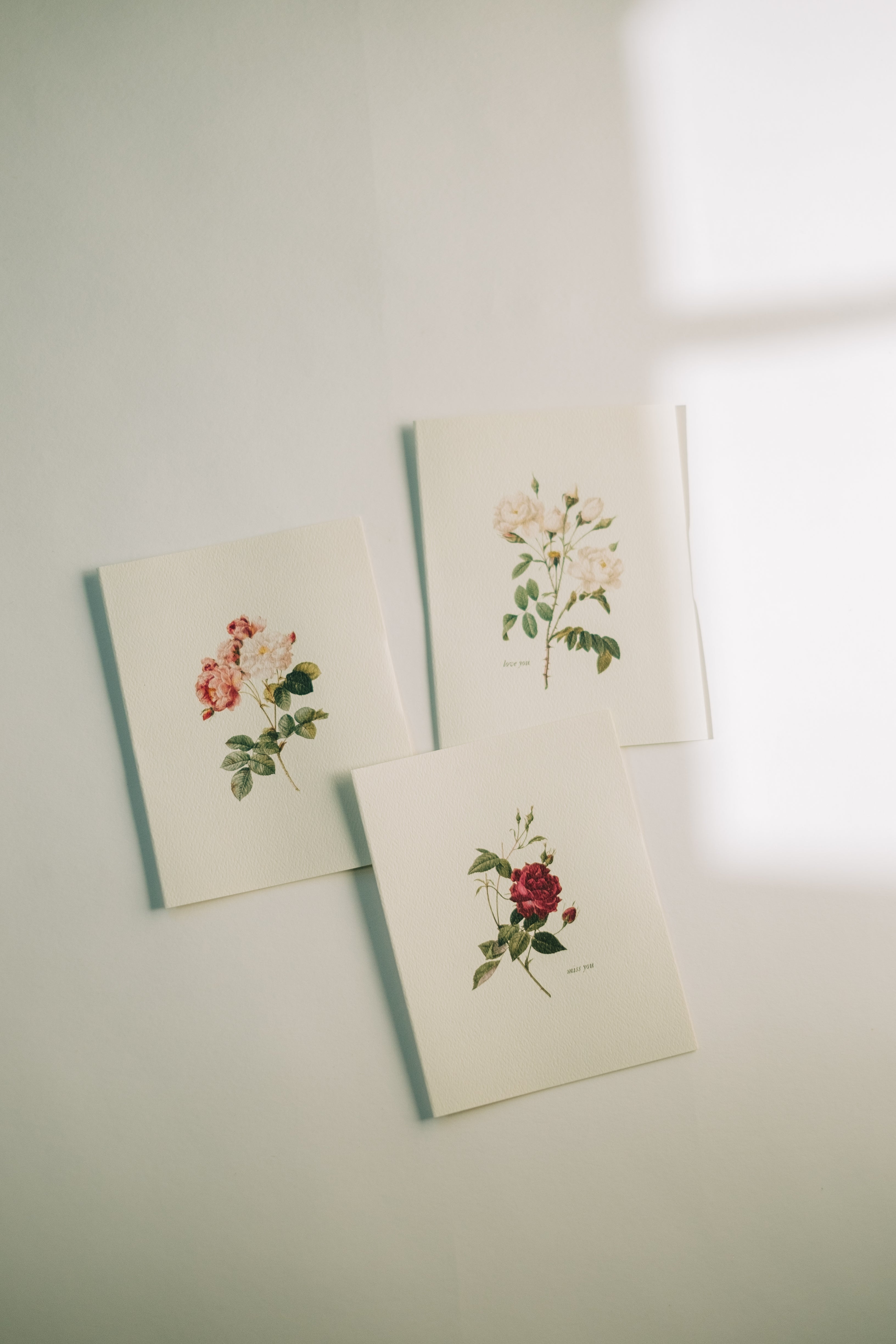 Roses Note Card Set – These Stones