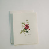 Vintage Roses Note Card Pack