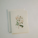 Vintage Roses Note Card Pack