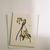 Flycatcher Thank You Card Pack