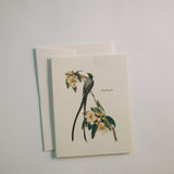 Flycatcher Thank You Card Pack