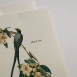 Flycatcher Thank You Card Pack