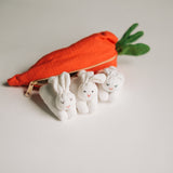 Quiet Toys: Rabbits & Carrot Pouch