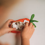Quiet Toys: Rabbits & Carrot Pouch