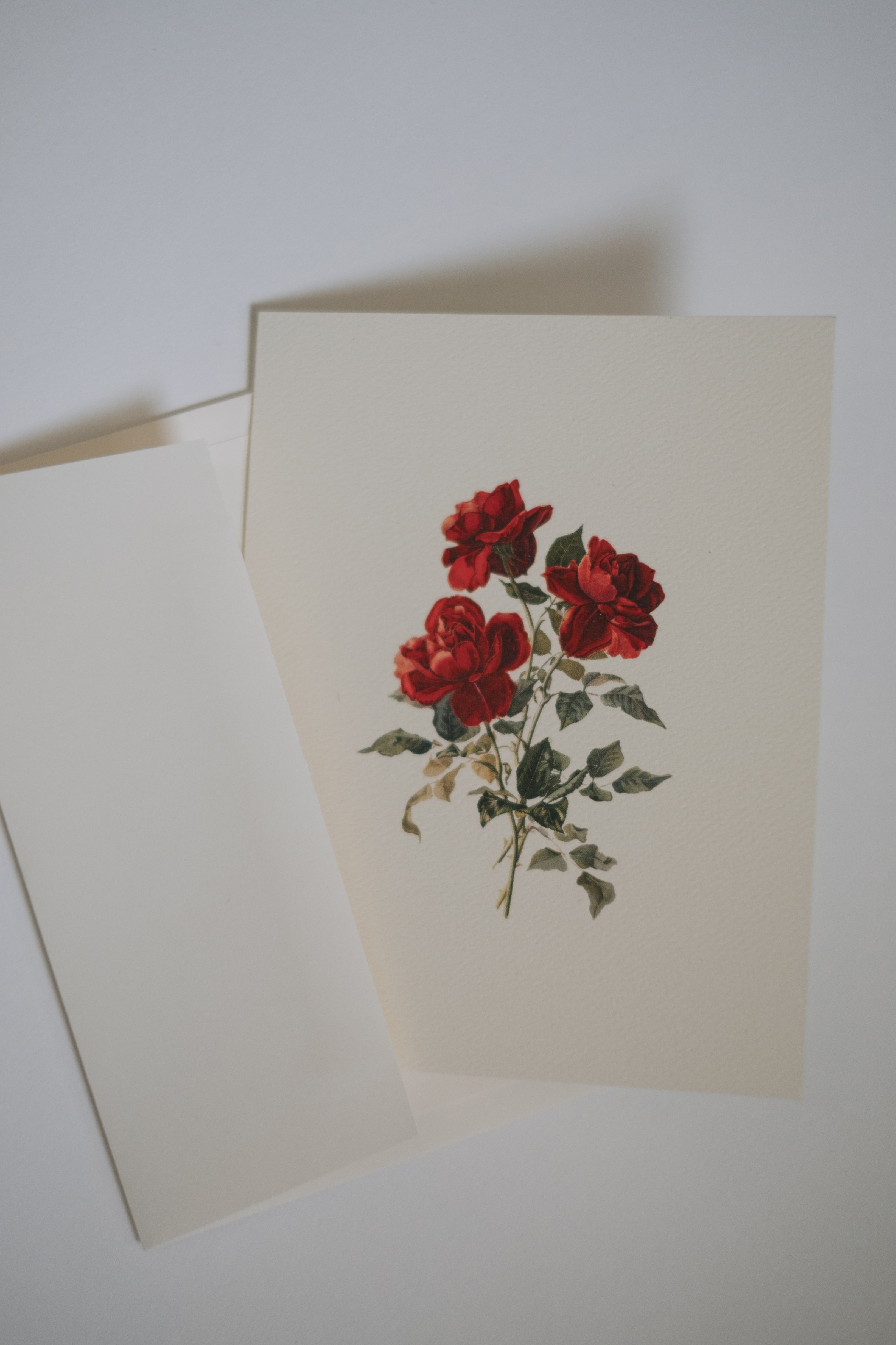 5 Roses Note Red Roses Note Card Set – These Stones