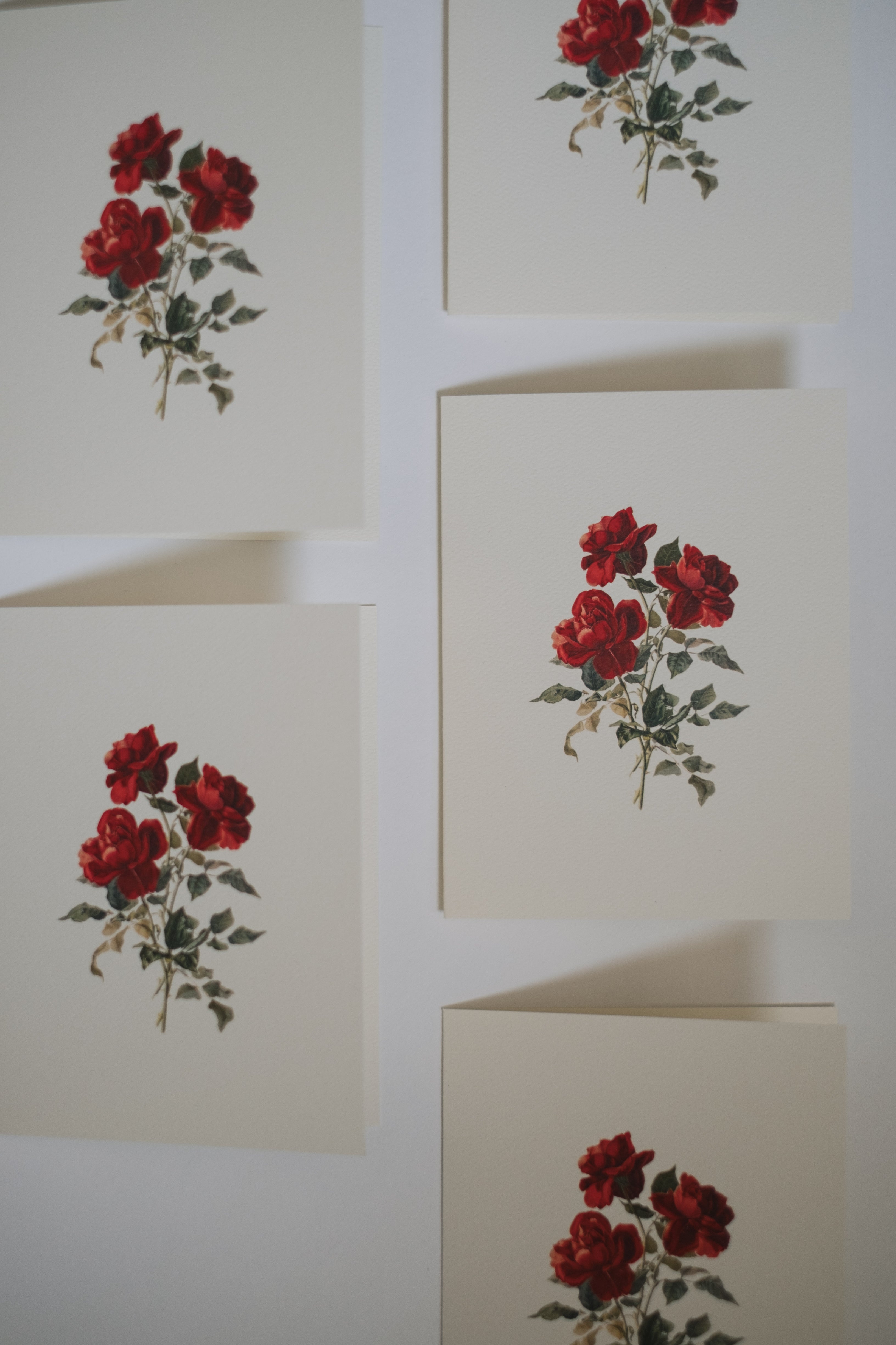 5 Roses Note Red Roses Note Card Set – These Stones